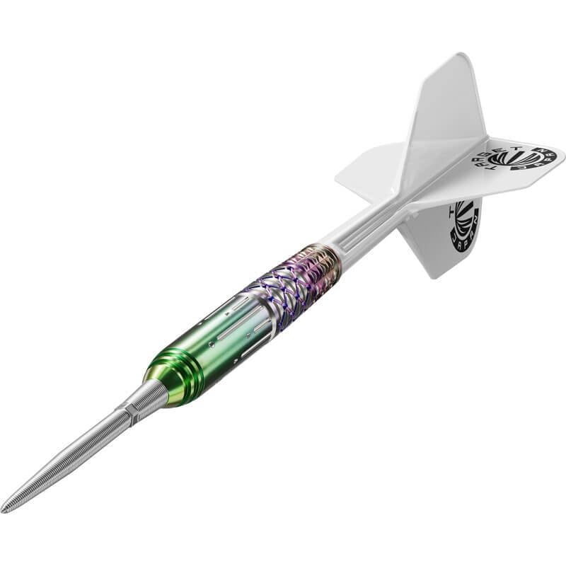 ターゲット CHARIS G4 カリス4 スイスポイント スティール21g キャシー