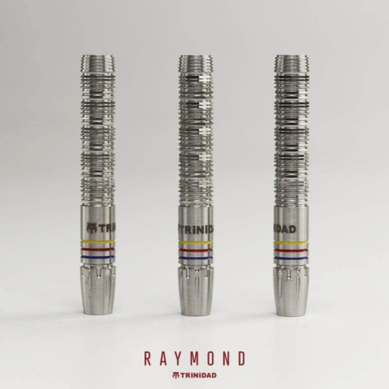 トリニダード RAYMOND 2BA22g レイモンド・コパノ選手 ダーツ バレル