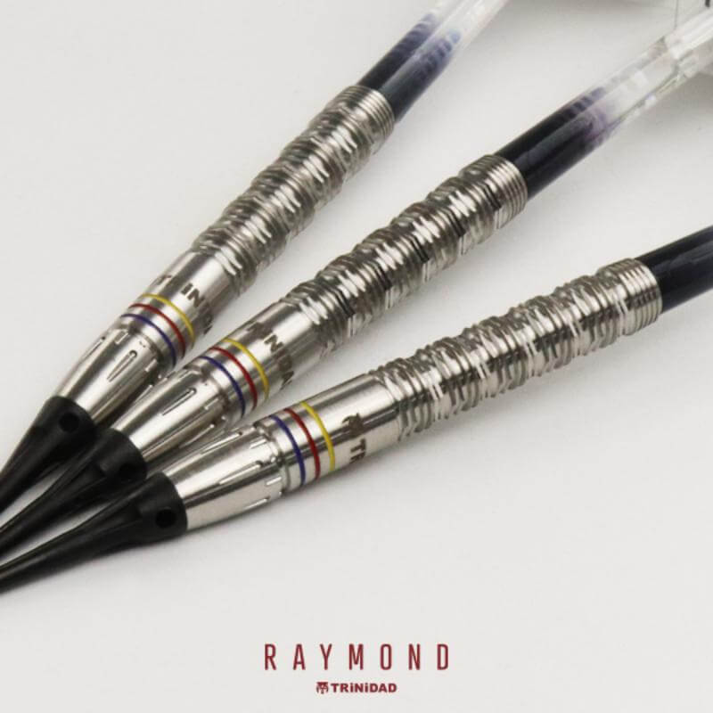 新品【トリニダード】レイモンド 22g トリニダード RAYMOND 2BA22g レイモンド・コパノ選手 ダーツ バレル