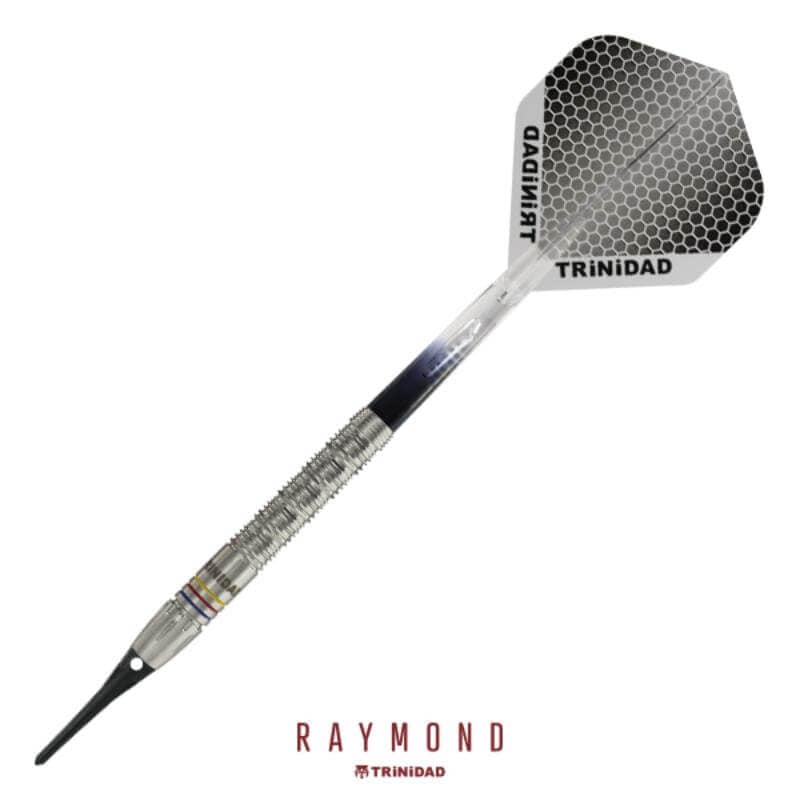 トリニダード RAYMOND 2BA22g レイモンド・コパノ選手 ダーツ バレル