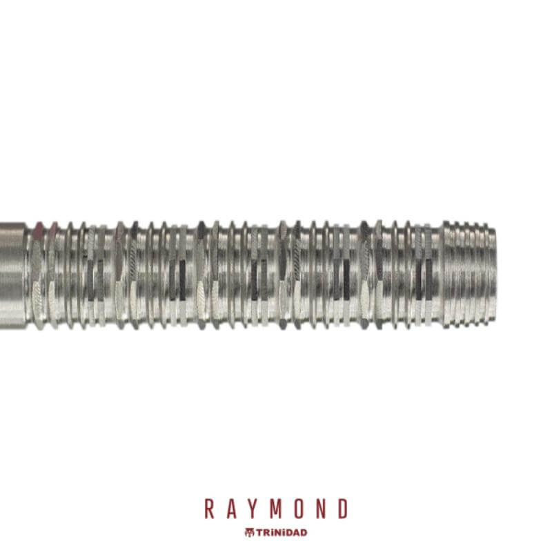 トリニダード RAYMOND 2BA22g レイモンド・コパノ選手 ダーツ バレル