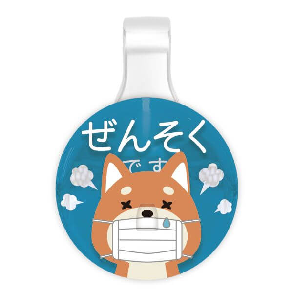 PICPIN ԥåԥ륷꡼ ©Ǥ B-LB ޥ㡼 ꡼