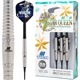 �ƥ��� STAR QUEEN �������������� 2BA20g �������������� ������ �Х��