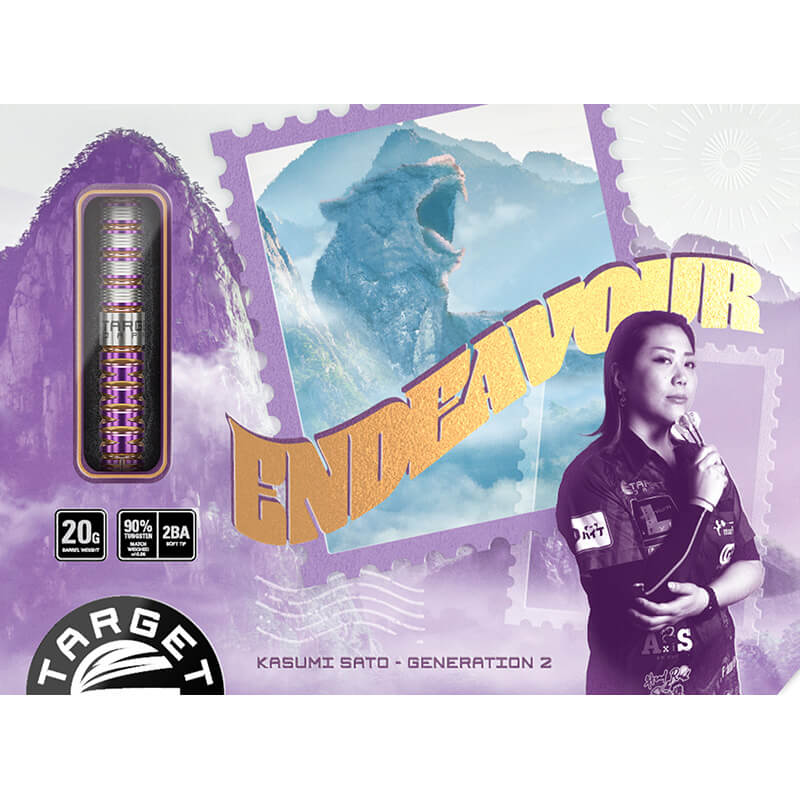 ターゲット ENDEAVOUR G2 エンデバー2 2BA20g 佐藤かす美選手 ダーツ