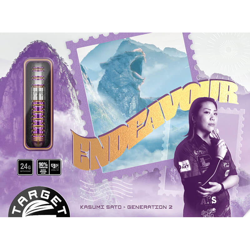 ターゲット ENDEAVOUR G2 エンデバー2 スイスポイント スティール24g