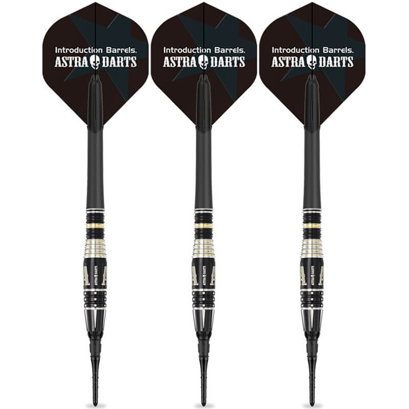 アストラダーツ 谷内太郎選手 ティーアロー7 ASTRA DARTS T-arrow7