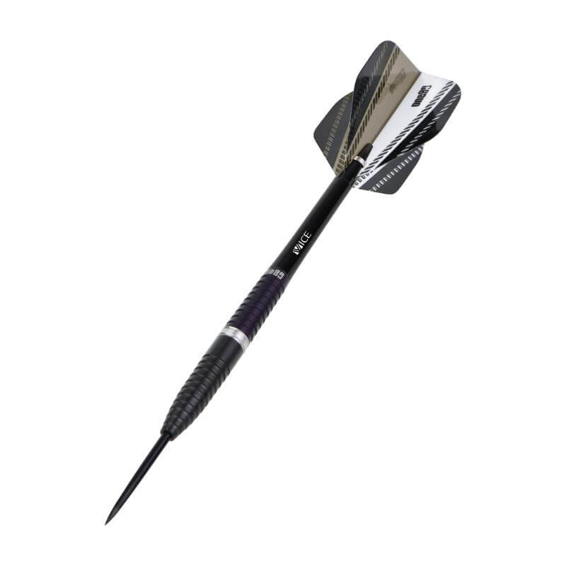 ONE80 Damian Mol ダミアン・モル スティール24g ハードダーツ バレル