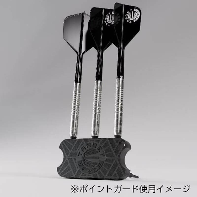 ターゲット 佐藤かす美選手 エンデバー3 ENDEAVOUR G3 2BA19g ダーツ
