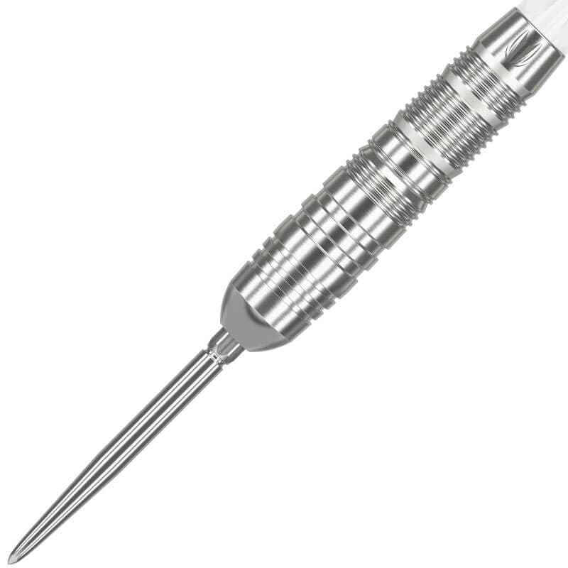 ターゲット CRUX JPN TRUST トラスト スイスポイント スティール19g