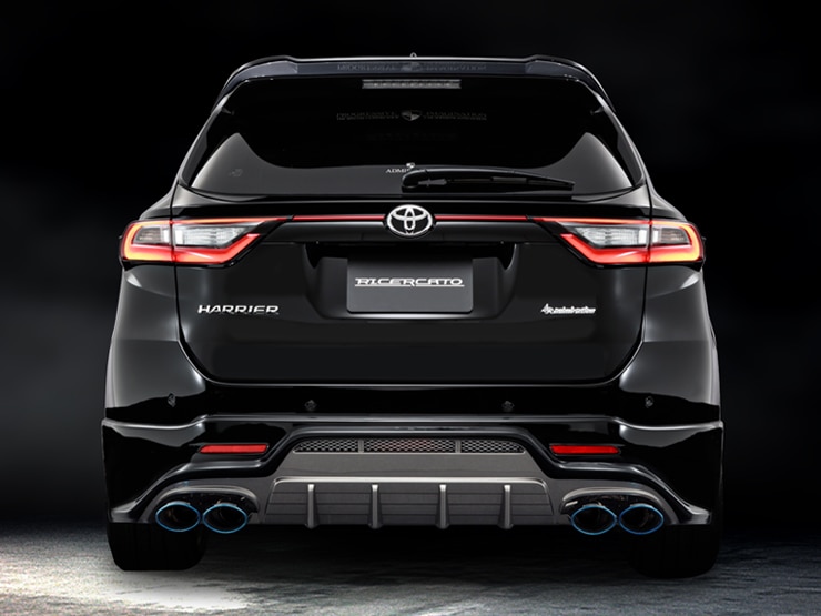 �������ϥϥꥢ�����֥�����륫���ȡ� ���������  ���ϡ��ե��ݥ��顼 �����ǥ奢��Ф���