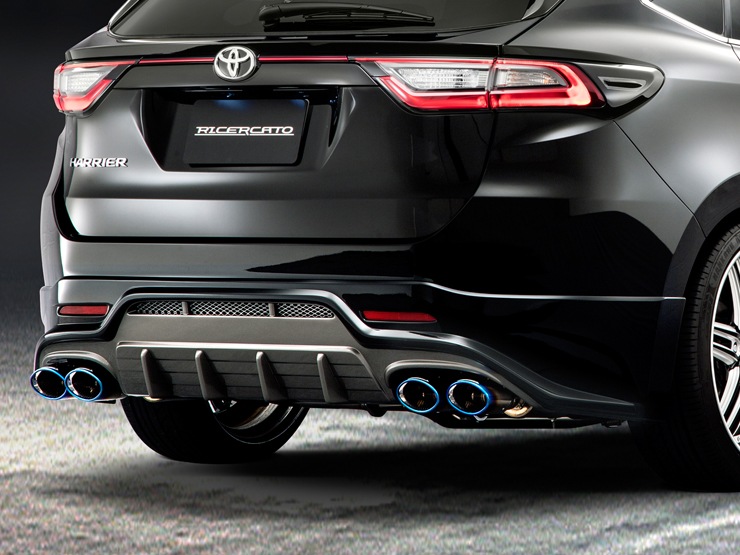 �������ϥϥꥢ�����֥�����륫���ȡ� ���������  ���ϡ��ե��ݥ��顼 �����ǥ奢��Ф���