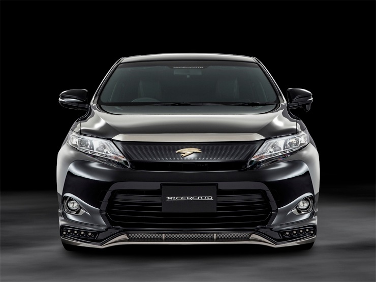 �������ϥϥꥢ�����֥�����륫���ȡ� ����  �ե���ȥϡ��ե��ݥ��顼