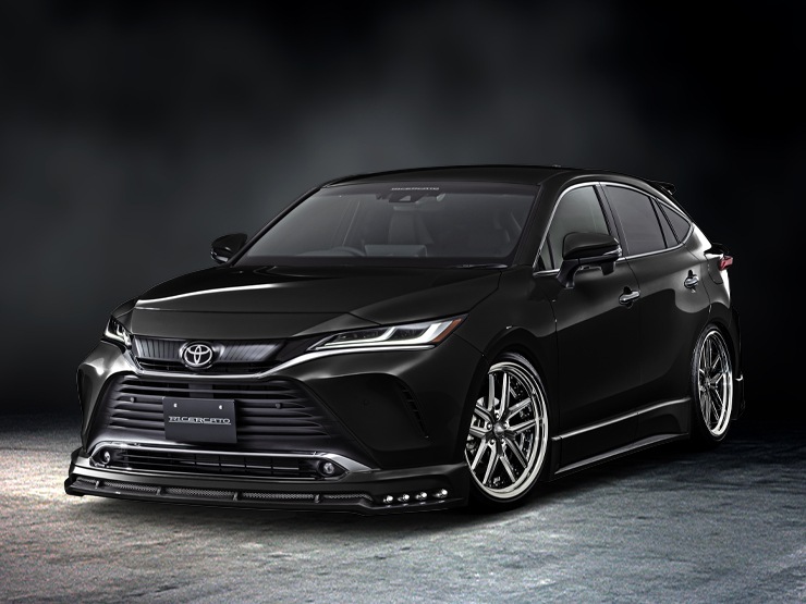 �������ϥϥꥢ�� �ե���ȥϡ��ե��ݥ��顼