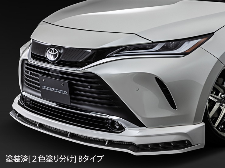 �������ϥϥꥢ�� �ե���ȥϡ��ե��ݥ��顼