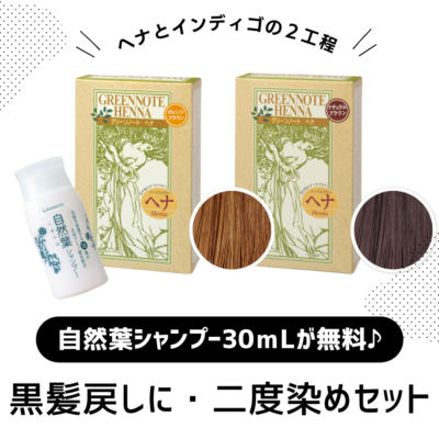 メヘンディナチュラルヘアカラー　ダークブラウン２本セット　付属品説明書つき 1回で染まる！ツヤ色！ ヘナ専門サロン開発 白髪染め