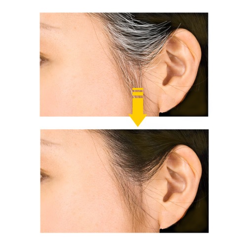 �饤�ȥ֥饦�󡡥إ����顼���ƥ��å�