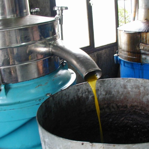 �ϡ��Х�ҥ��ȥ꡼�����꡼���Ф��󡡡��̥�٥������