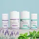 �ƥ��ȥ��꡼��٥���� 50g�������� �������å�Deo�ѥ�����