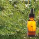 �ƥ��ȥ��꡼��٥���� 12g  �������å�Deo�ѥ�����