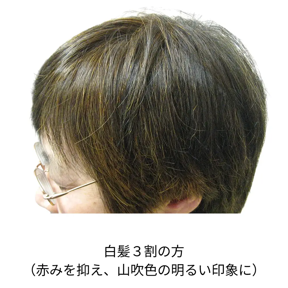 �ʥ����륤���������ʥߥå����ѡˡ����꡼��Ρ��ȥإʡ�