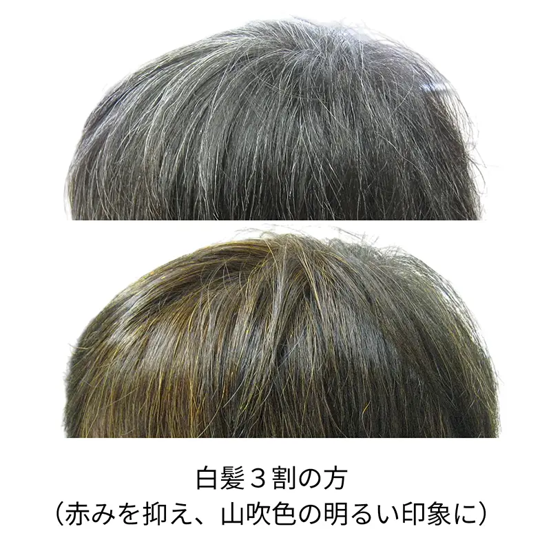 �ʥ����륤���������ʥߥå����ѡˡ����꡼��Ρ��ȥإʡ�