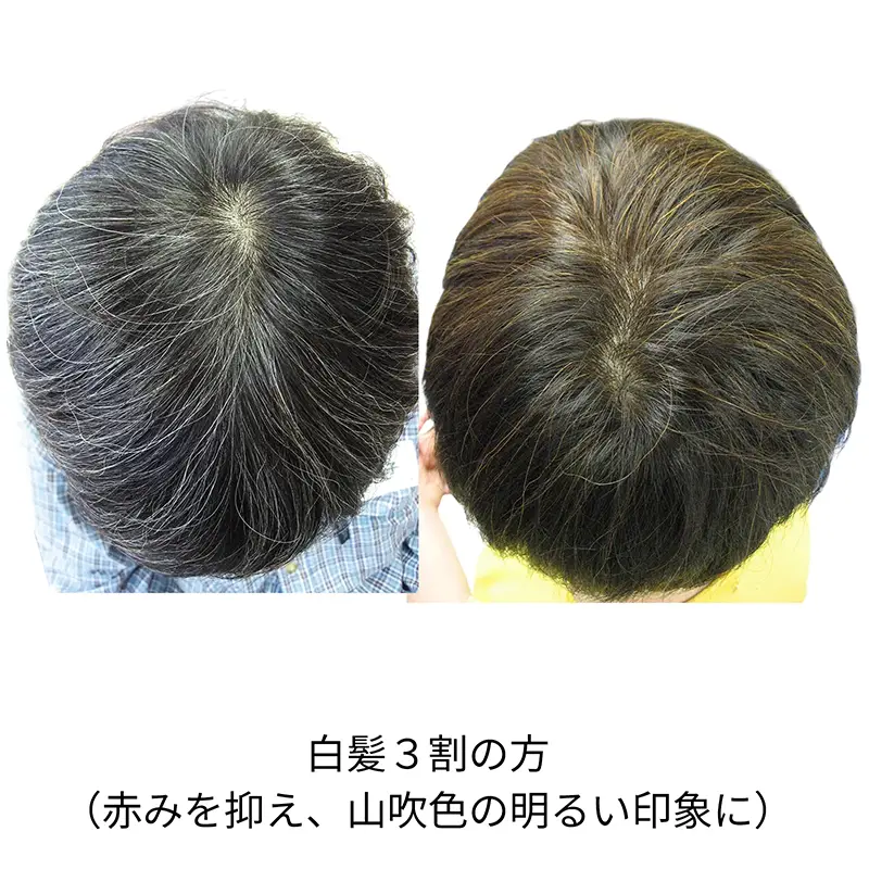 �ʥ����륤���������ʥߥå����ѡˡ����꡼��Ρ��ȥإʡ�