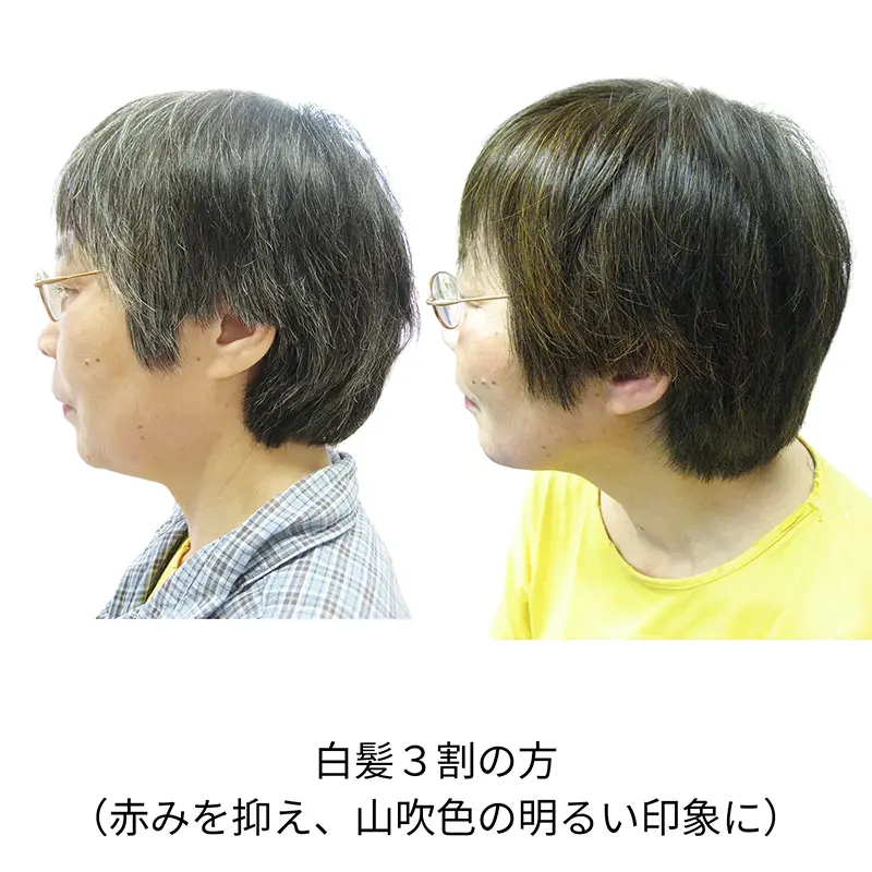 �ʥ����륤���������ʥߥå����ѡˡ����꡼��Ρ��ȥإʡ�