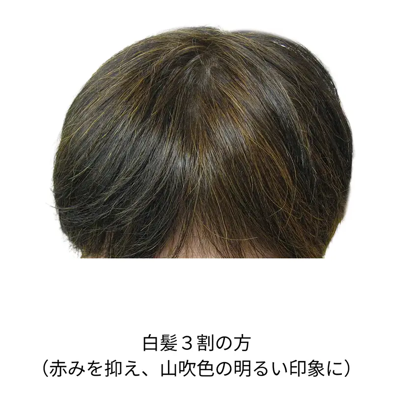�ʥ����륤���������ʥߥå����ѡˡ����꡼��Ρ��ȥإʡ�