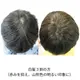 �ʥ����륤���������ʥߥå����ѡˡ����꡼��Ρ��ȥإʡ�