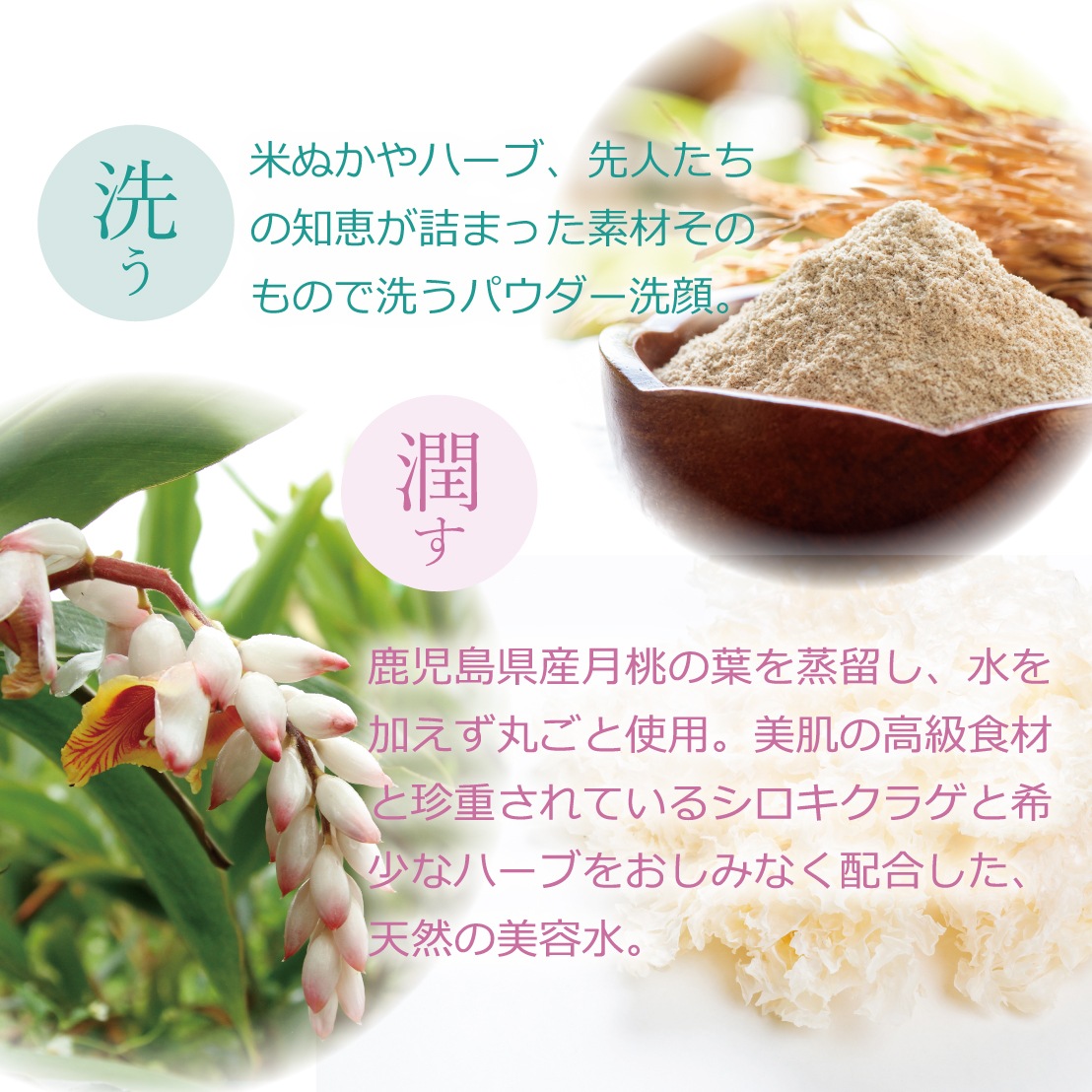 �����ե⥤���ȥ����󥱥����åȡ������