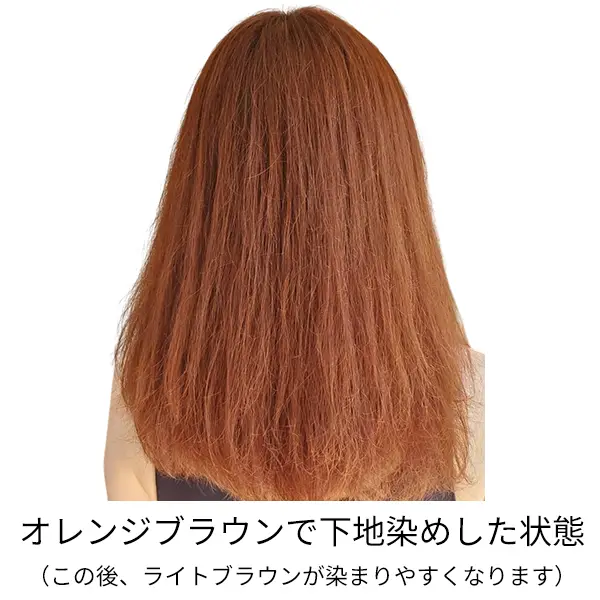 �������������᥻�åȡʥ���󥸥֥饦��ܥ饤�ȥ֥饦���