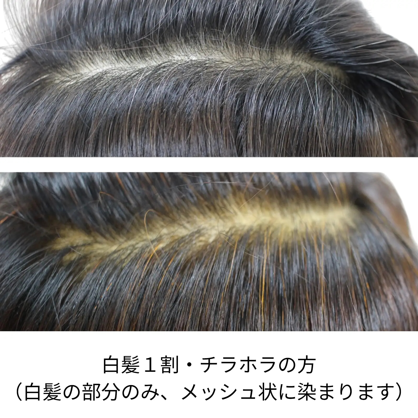 ����󥸥֥饦�� ���꡼��Ρ��ȥإ�