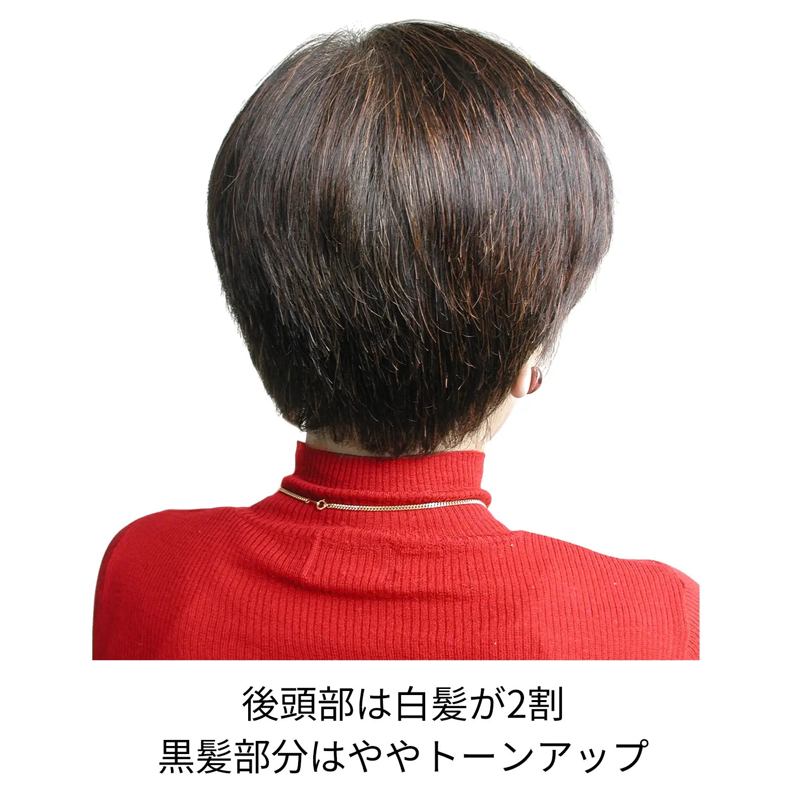 ����󥸥֥饦�� ���꡼��Ρ��ȥإ�