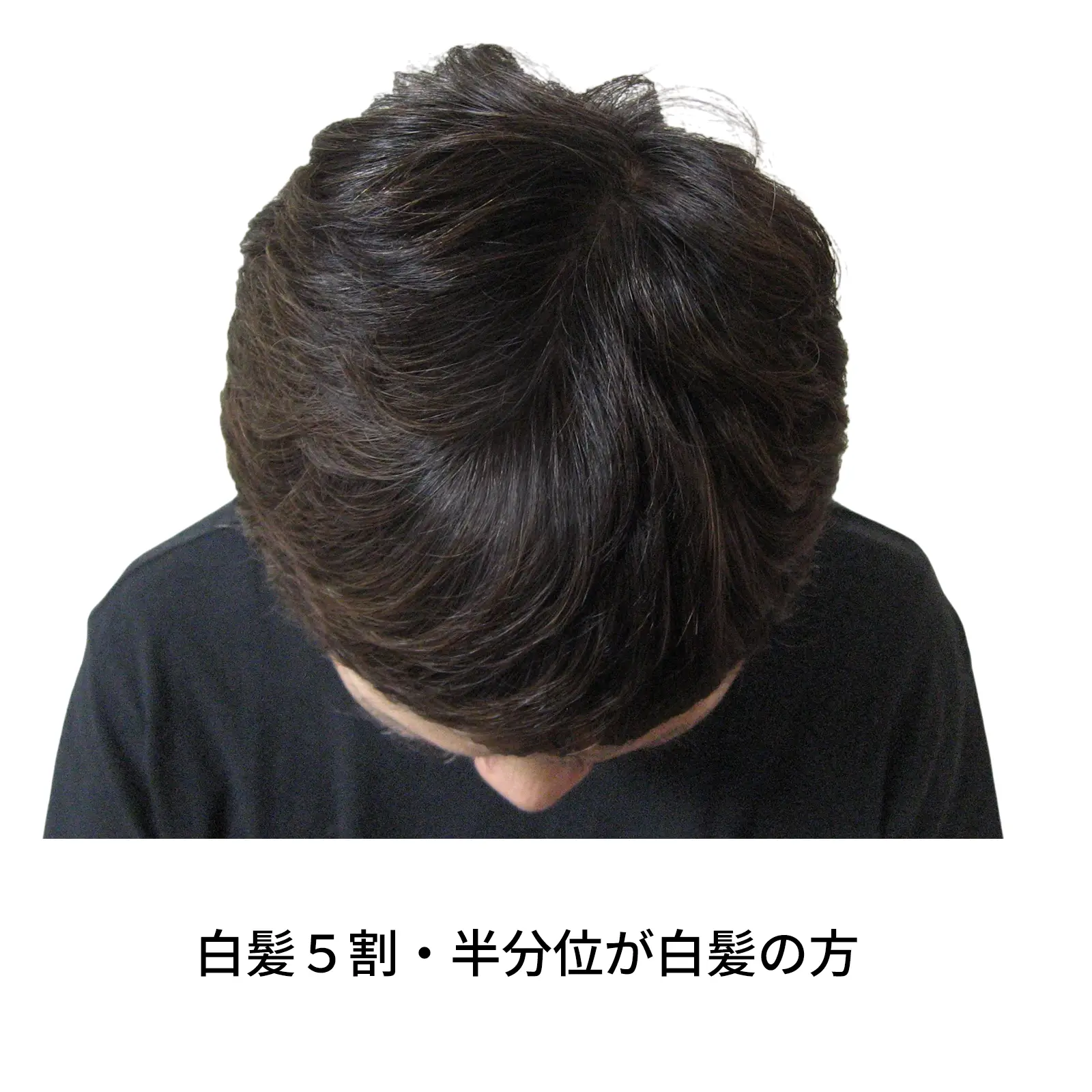 �ʥ�����֥饦�󡡥��꡼��Ρ��ȥإ�