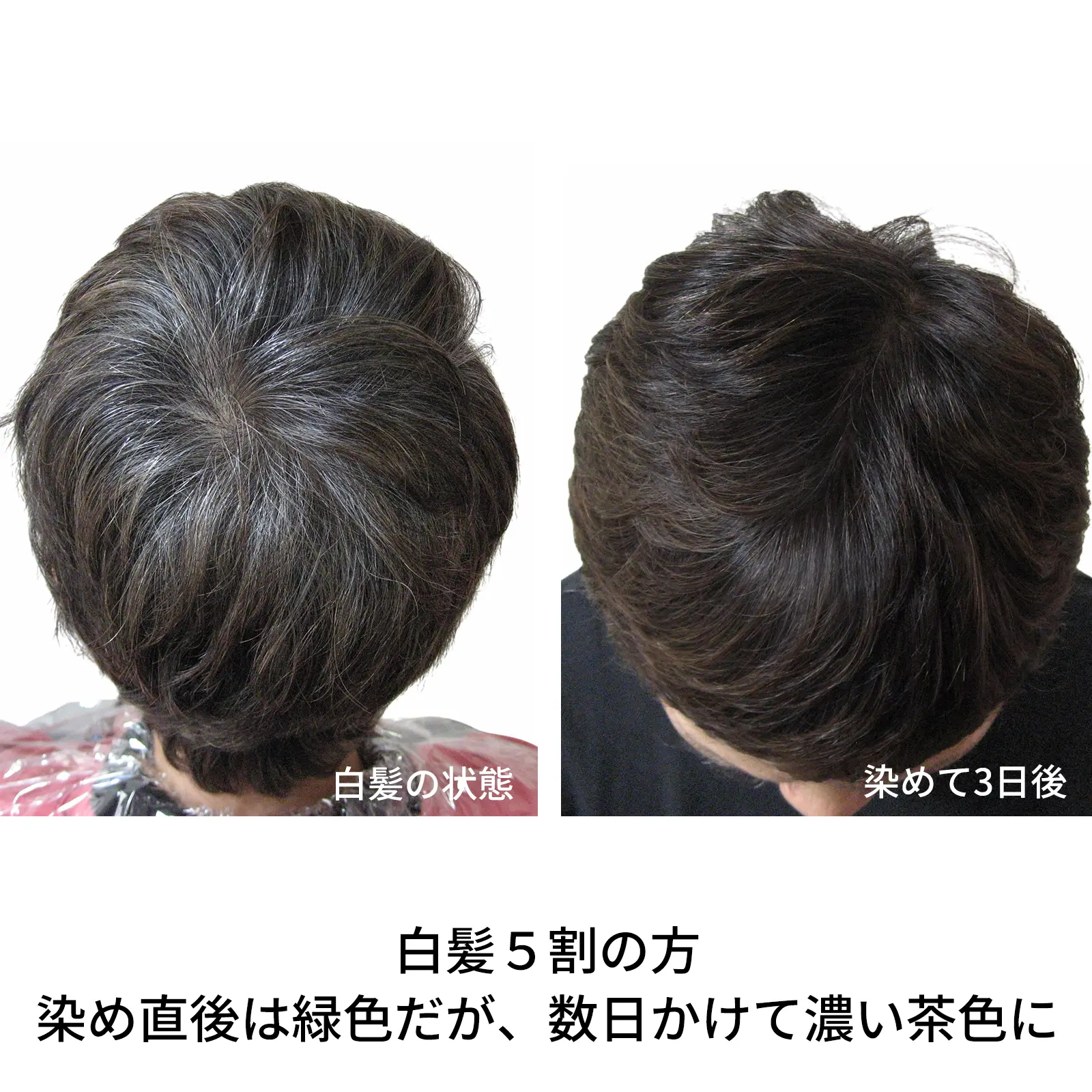 �ʥ�����֥饦��ʹ���ˡ��١����å��إ� 