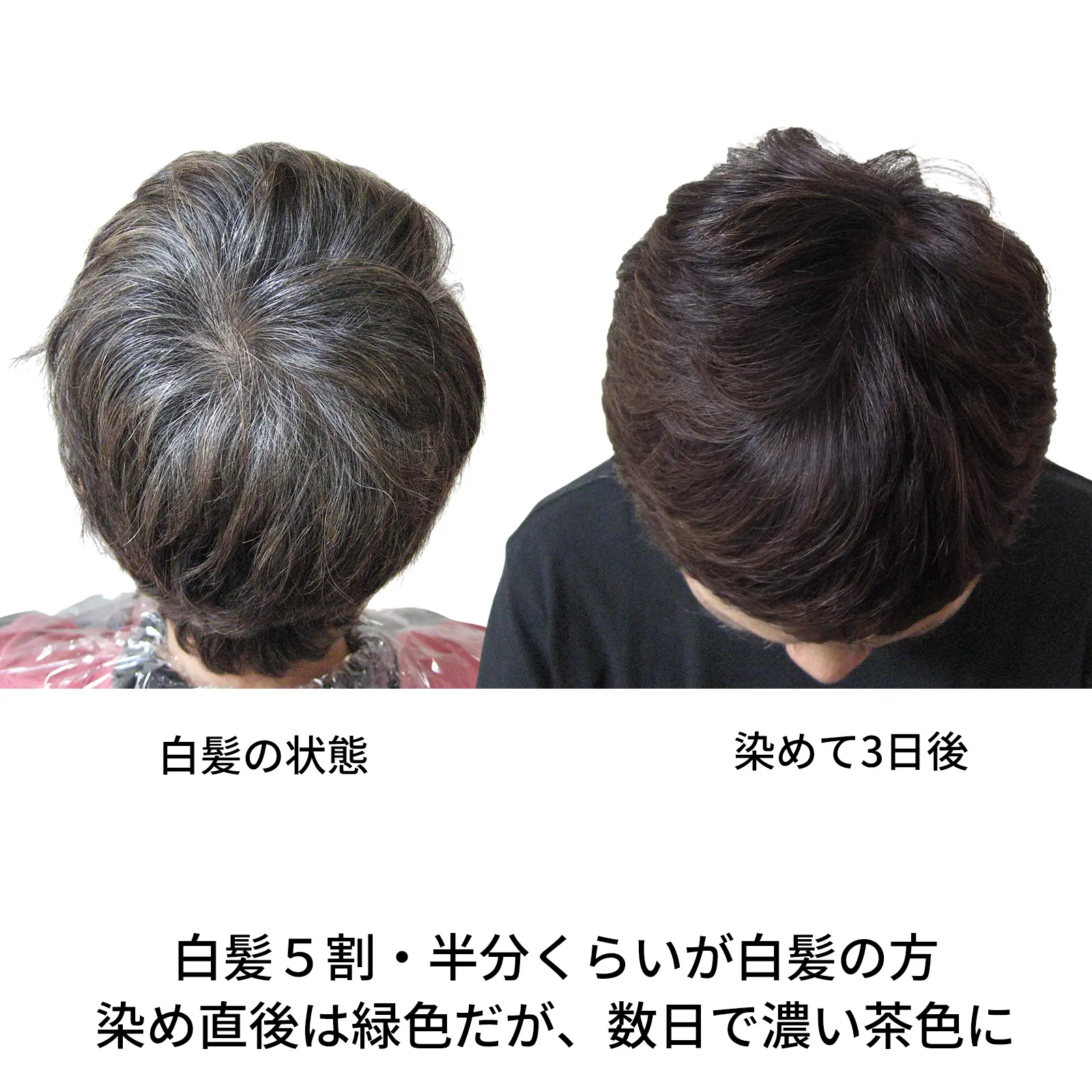 �ʥ�����֥饦�󡡥��꡼��Ρ��ȥإ�