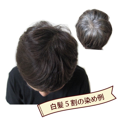 �ʥ�����֥饦�󡡥��꡼��Ρ��ȥإ�