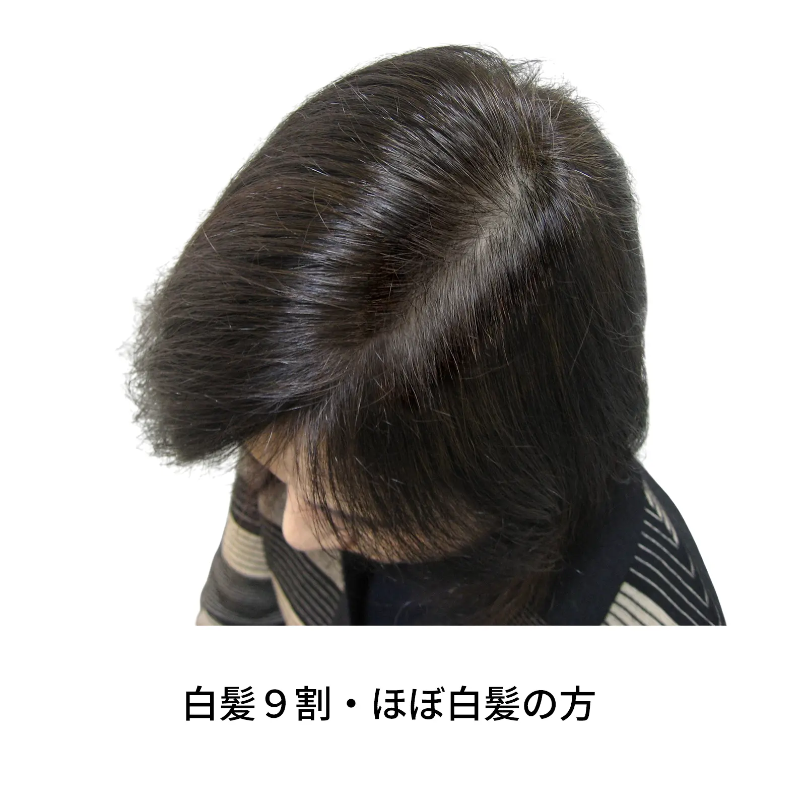 �ʥ�����֥饦�󡡥��꡼��Ρ��ȥإ�