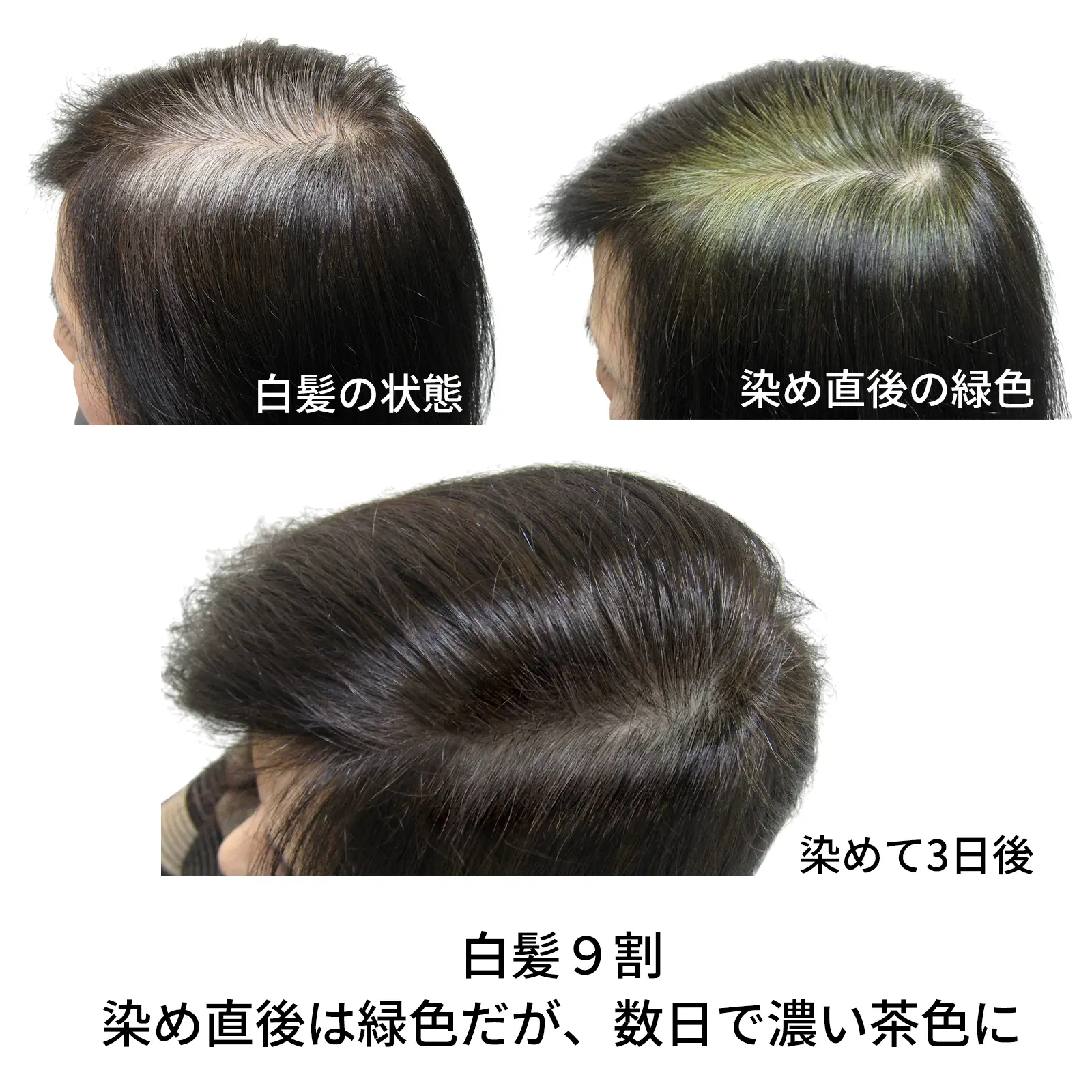 �ʥ�����֥饦�󡡥��꡼��Ρ��ȥإ�