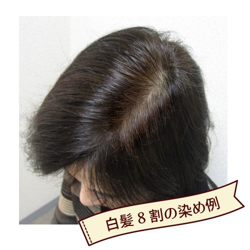 �ʥ�����֥饦�󡡥��꡼��Ρ��ȥإ�