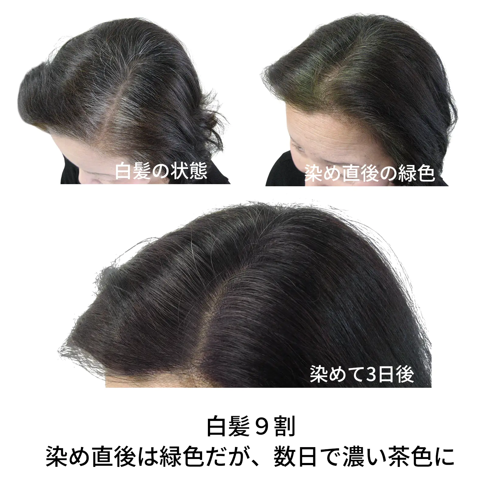 �ʥ�����֥饦�󡡥��꡼��Ρ��ȥإ�