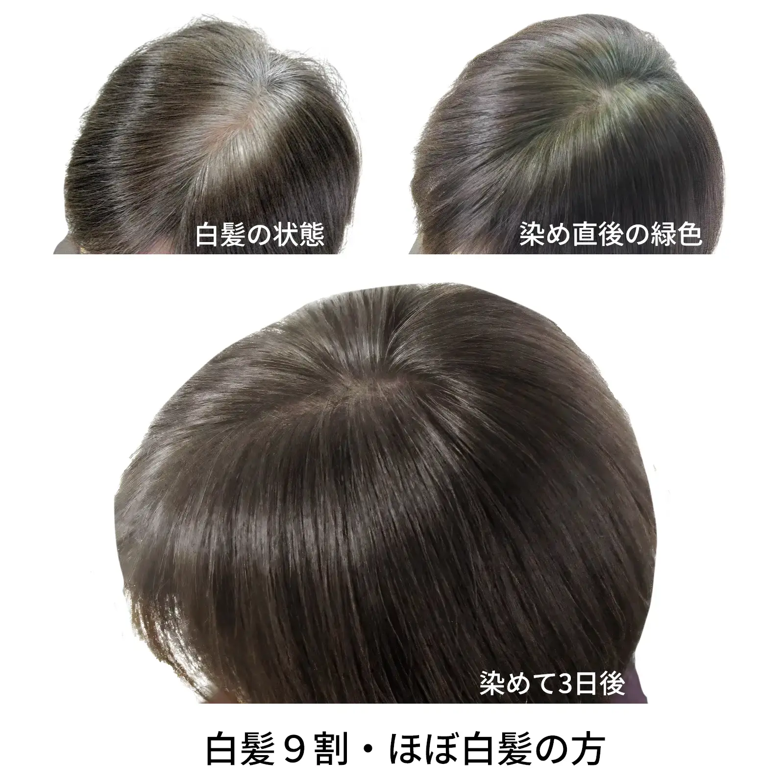�����ѡ��֥饦���������� ���꡼��Ρ��� �إʥ����ѡ�