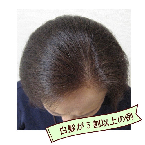 �����ѡ��֥饦���������� ���꡼��Ρ��� �إʥ����ѡ�
