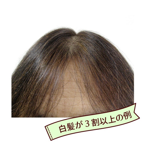 �����ѡ��֥饦���������� ���꡼��Ρ��� �إʥ����ѡ�