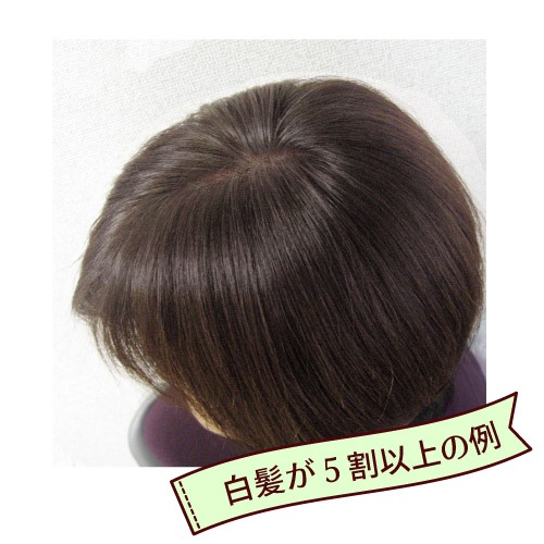 �����ѡ��֥饦�� �إʽ鿴�ԥ��åȡ������᥿����