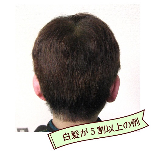 �����ѡ��֥饦�� �إʽ鿴�ԥ��åȡ������᥿����