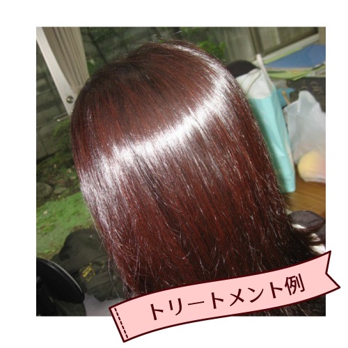 �ӥ�������� ���꡼��Ρ��ȥإ� �������ˡ���