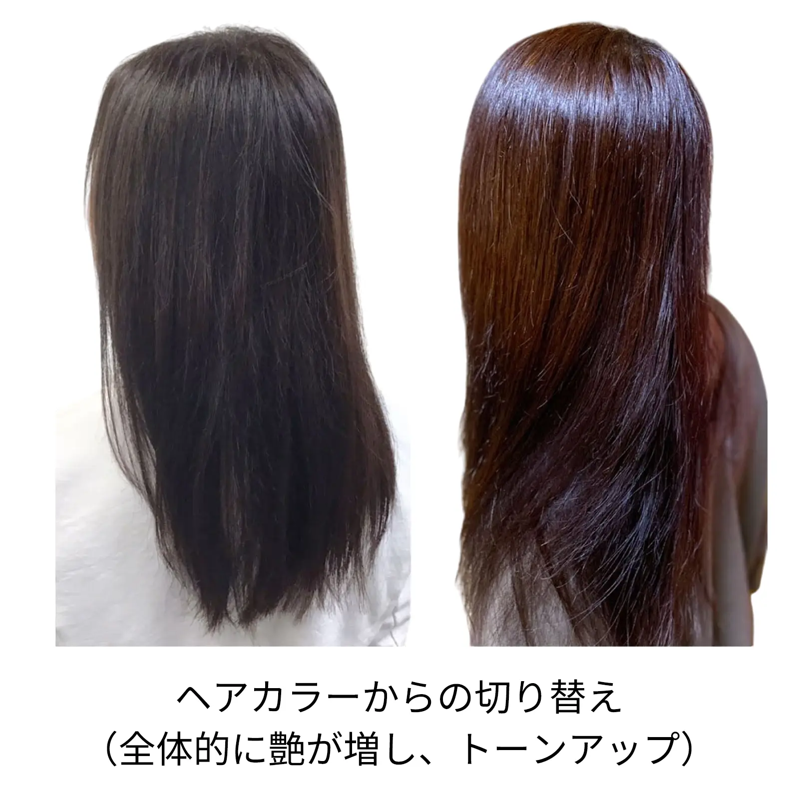 �ӥ�������� ���꡼��Ρ��ȥإ� �������ˡ���