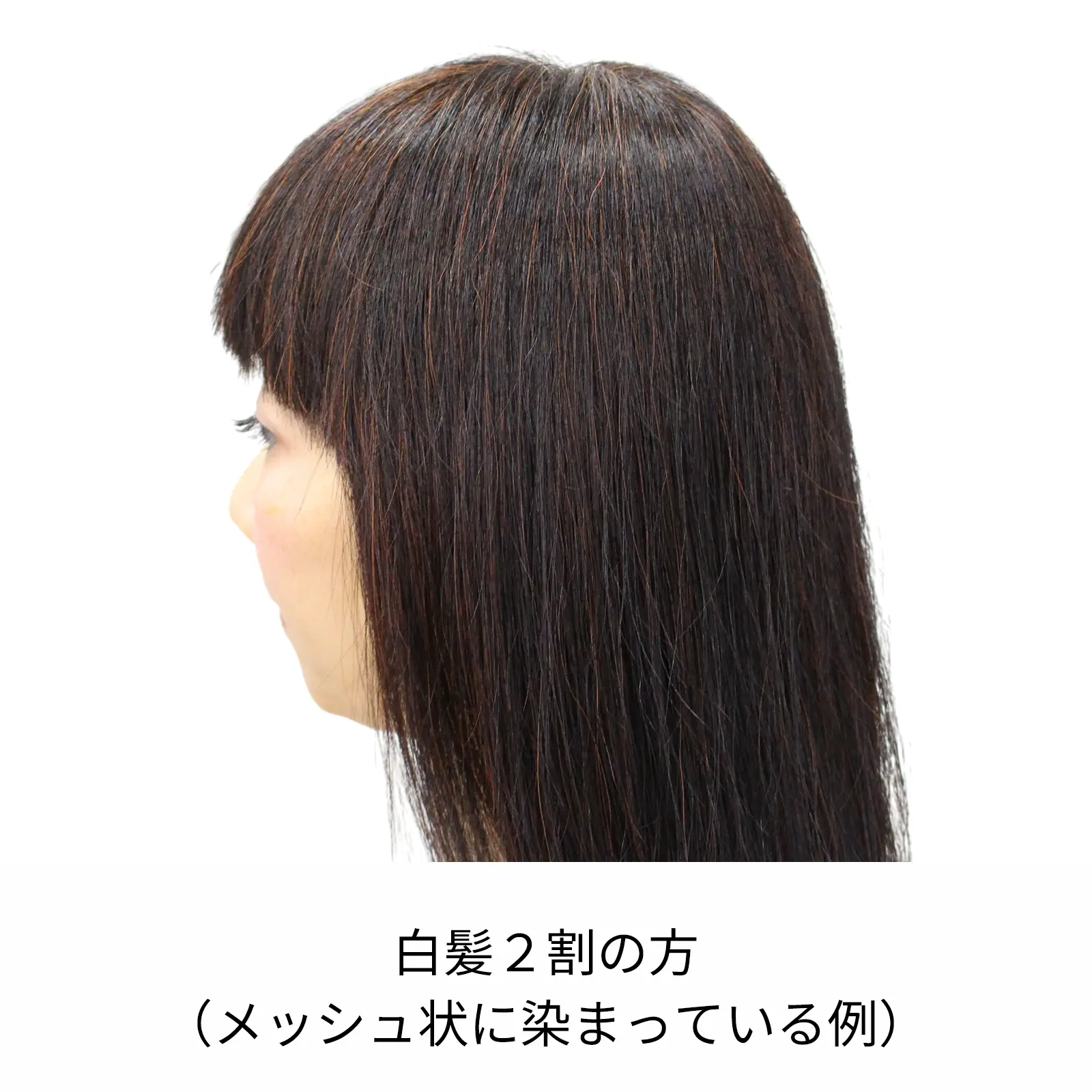 �ӥ�������� ���꡼��Ρ��ȥإ� �������ˡ���