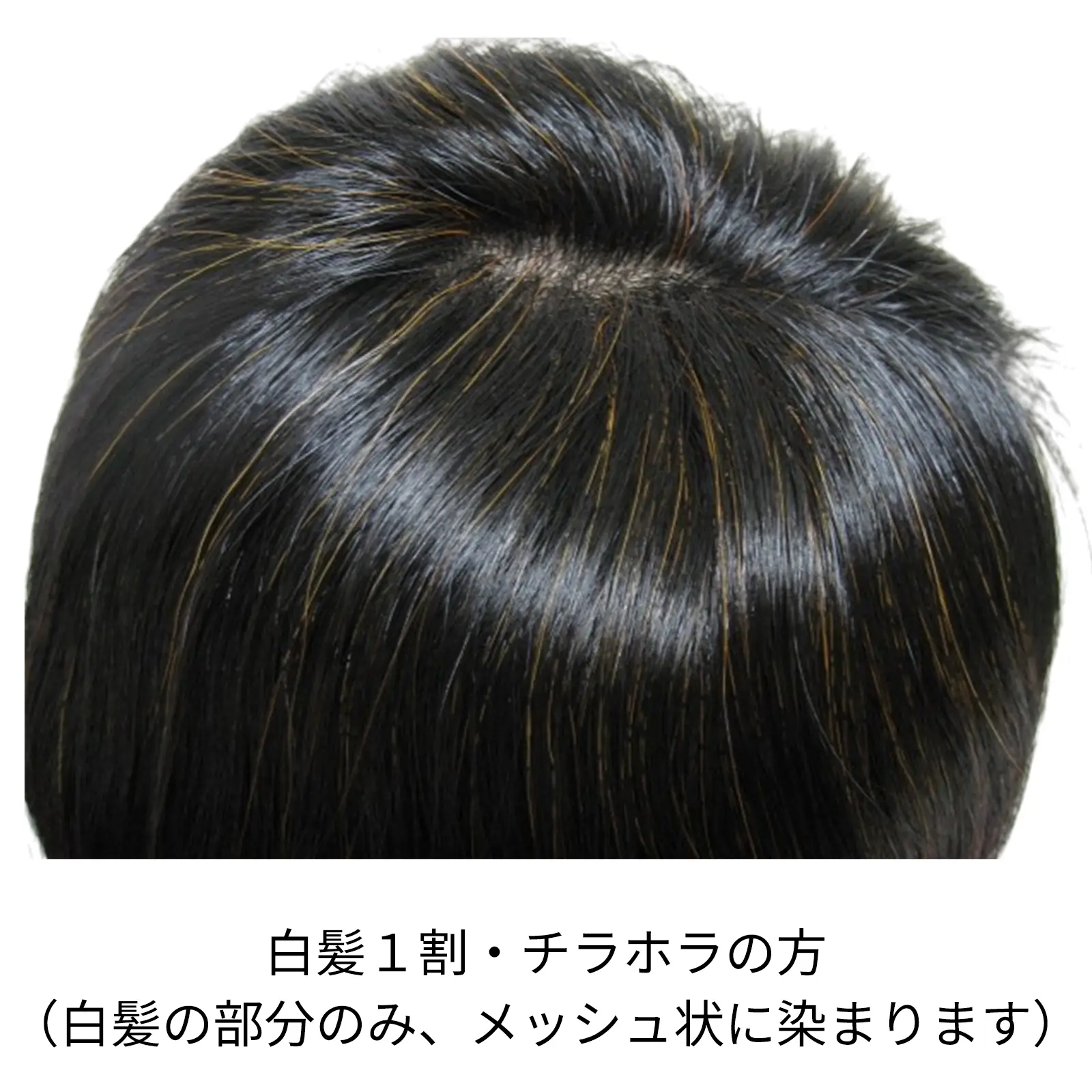 �ӥ�������� ���꡼��Ρ��ȥإ� �������ˡ���